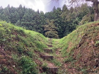 途中で二手に分かれますがどちらも南陽寺跡に続きます(写真は左折した階段)。