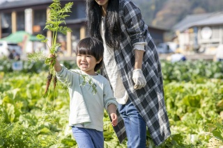 野菜の収穫体験