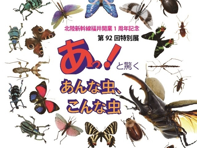 第92回特別展「あっ！と驚くあんな虫、こんな虫」｜イベント｜福いろ