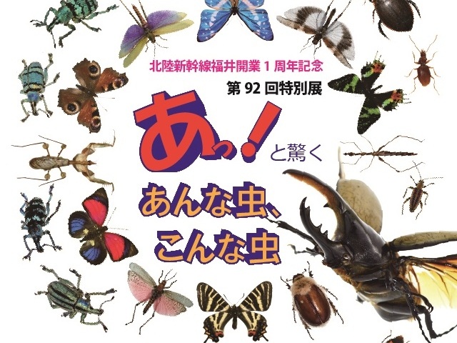 第92回特別展「あっ！と驚くあんな虫、こんな虫」