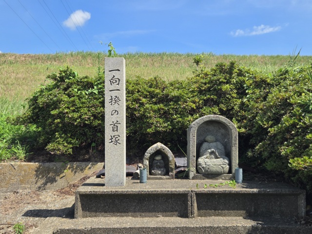 一向一揆の首塚