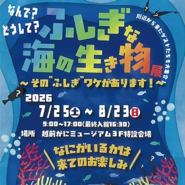 【越前がにミュージアム】ふしぎな海の生き物展2026 ～その"ふしぎ" ワケがあります！～