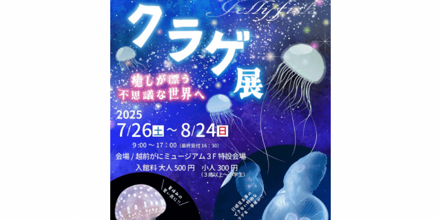 【越前がにミュージアム】クラゲ展2025 ～癒しが漂う不思議な世界へ～