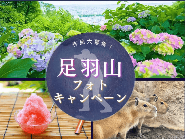 ８月１１日（月）は山の日！夏休みは足羽山フォトキャンペーンに参加して、足羽山の素敵な特典をゲットしよう！