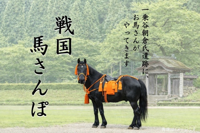 一乗谷朝倉氏遺跡「戦国 馬さんぽ」