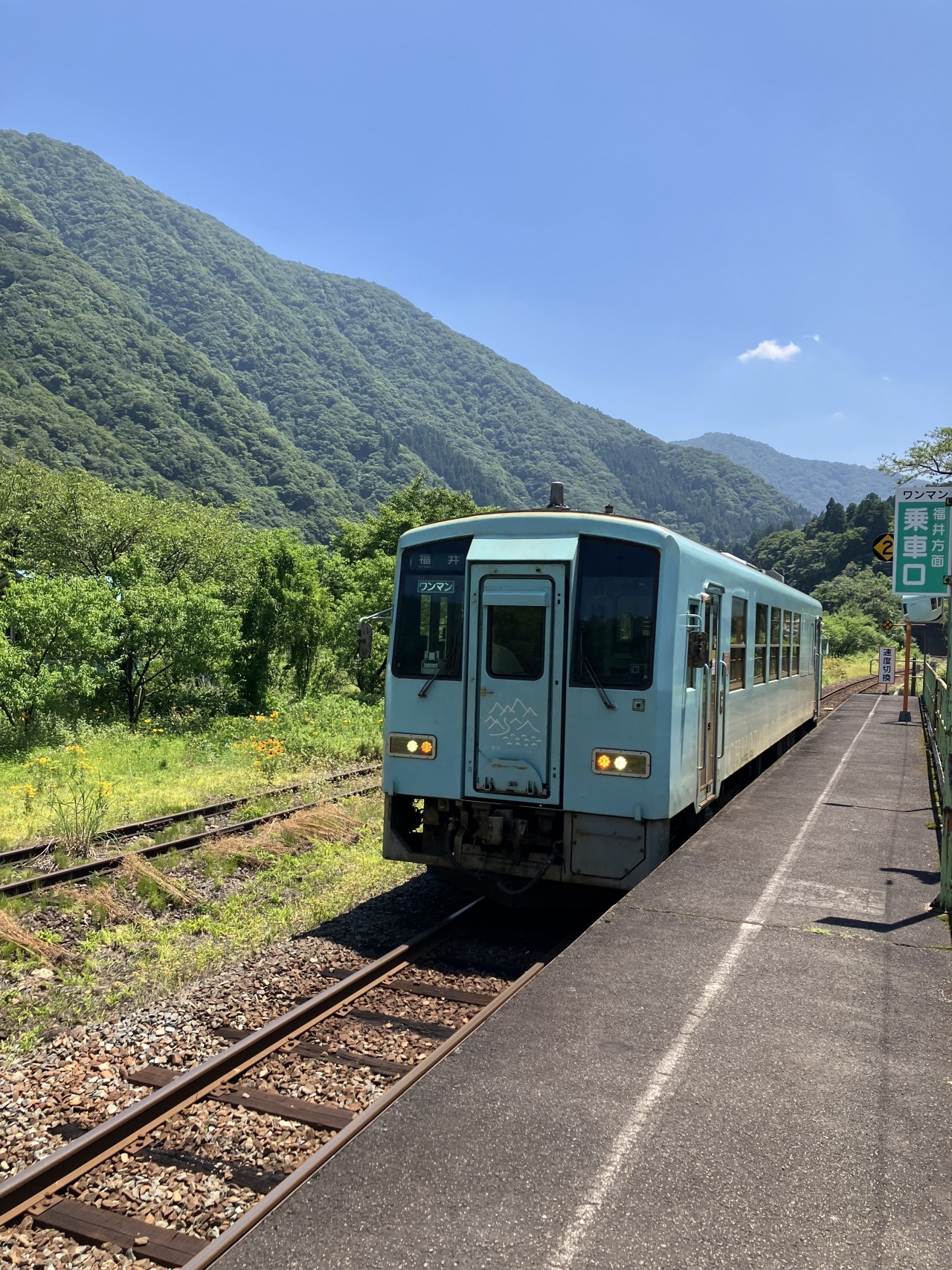越美北線で行く 一乗谷サイクリングツアー