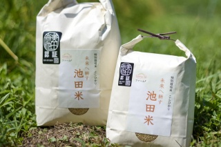 新米も販売