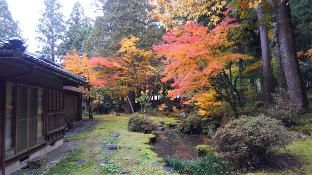 名勝「梅田氏庭園」秋の特別公開（11月6日～8日）